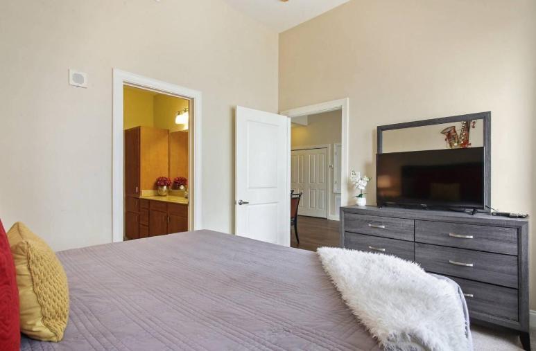 Amazing Condos Beautiful View 2 Blocks To French Quarter, Small Rooftop Pool, Gym, Seanger Theater, Super Dome, And Bourbon St New Orleans Ngoại thất bức ảnh